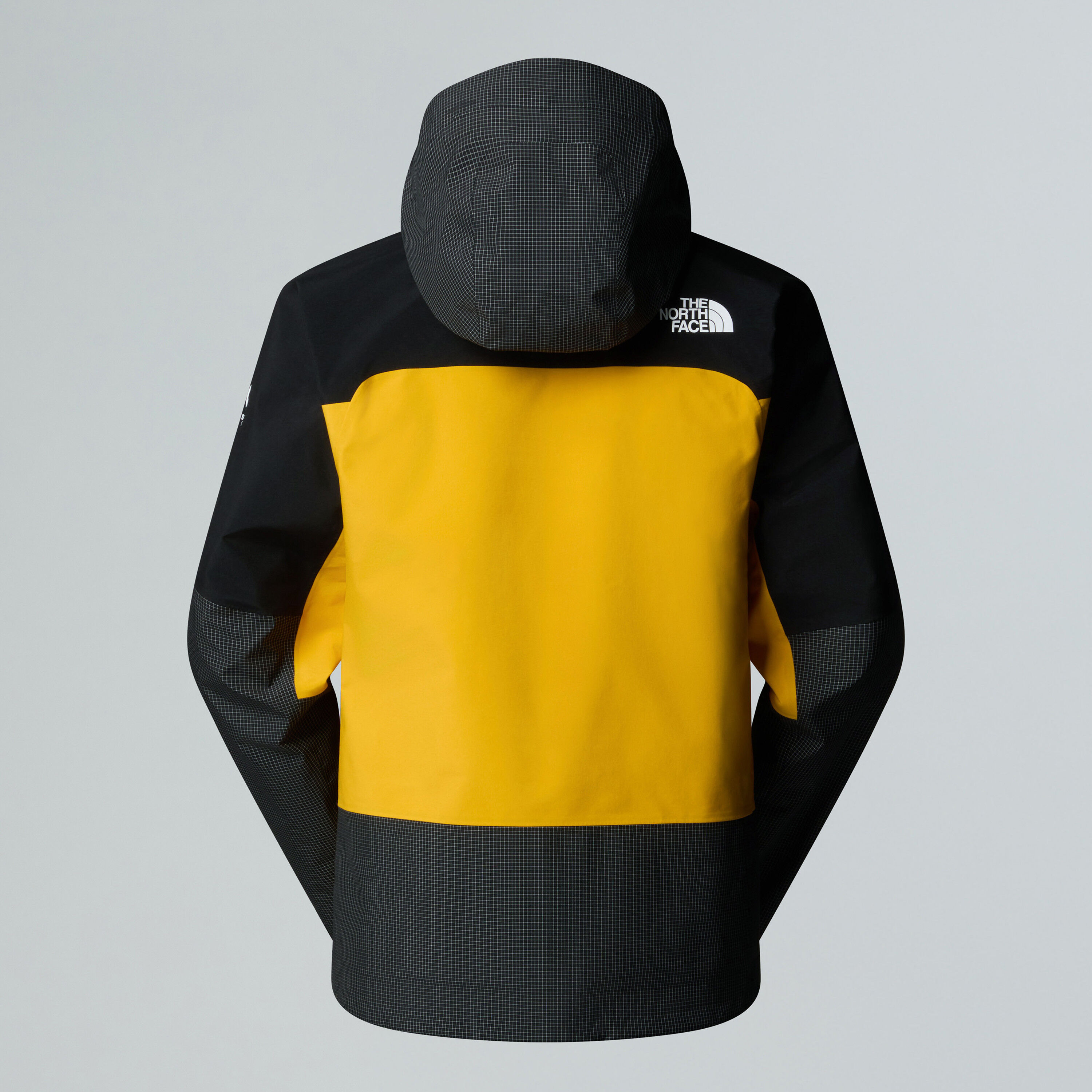 The North Face | Erkek Summit Mountain GORE-TEX® Pro Mont