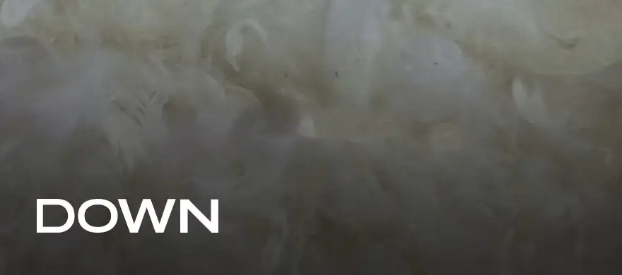 down_fill