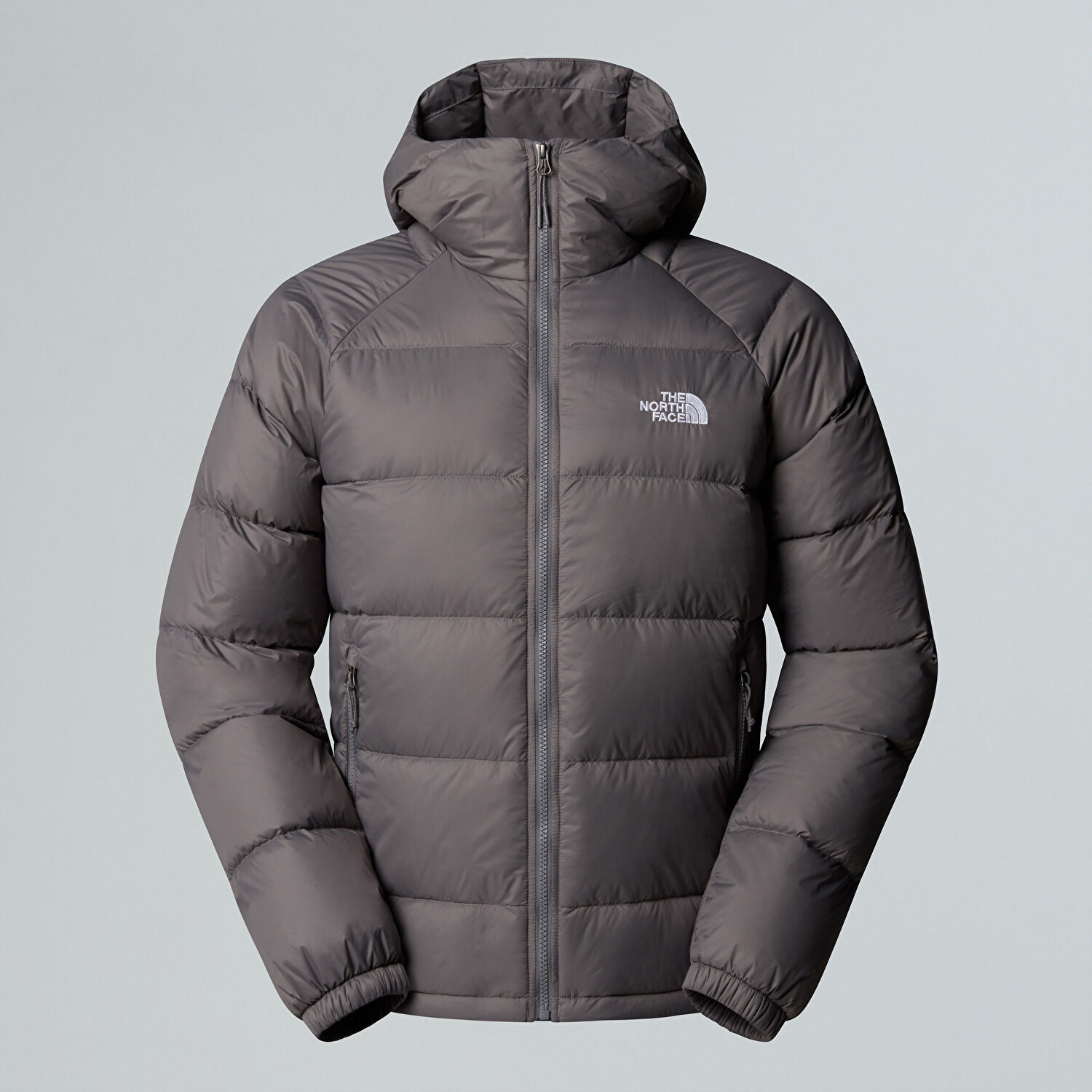 The North Face | Erkek Hydrenalite Kapüşonlu Kaz Tüyü Mont